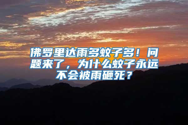 佛羅里達雨多蚊子多！問題來了，為什么蚊子永遠不會被雨砸死？