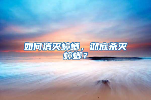如何消滅蟑螂，徹底殺滅蟑螂？