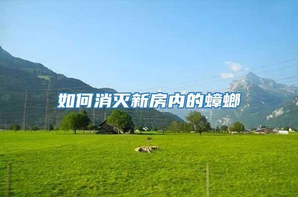 如何消滅新房?jī)?nèi)的蟑螂