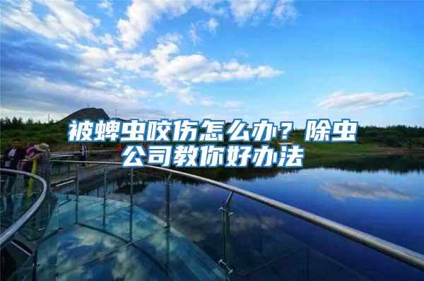被蜱蟲咬傷怎么辦？除蟲公司教你好辦法