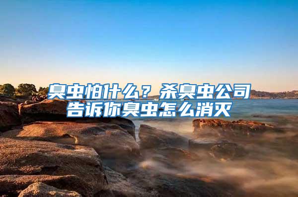 臭蟲怕什么？殺臭蟲公司告訴你臭蟲怎么消滅