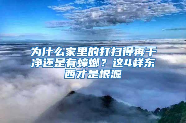 為什么家里的打掃得再干凈還是有蟑螂？這4樣東西才是根源