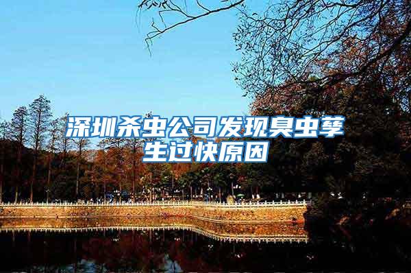 深圳殺蟲公司發現臭蟲孳生過快原因