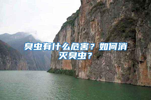 臭蟲(chóng)有什么危害？如何消滅臭蟲(chóng)？
