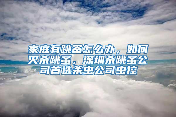 家庭有跳蚤怎么辦，如何滅殺跳蚤，深圳殺跳蚤公司首選殺蟲(chóng)公司蟲(chóng)控