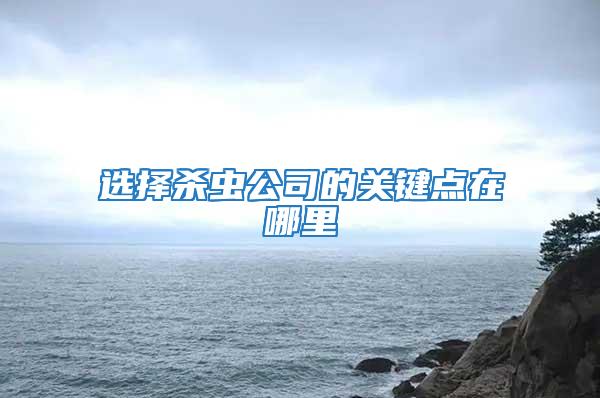 選擇殺蟲公司的關鍵點在哪里