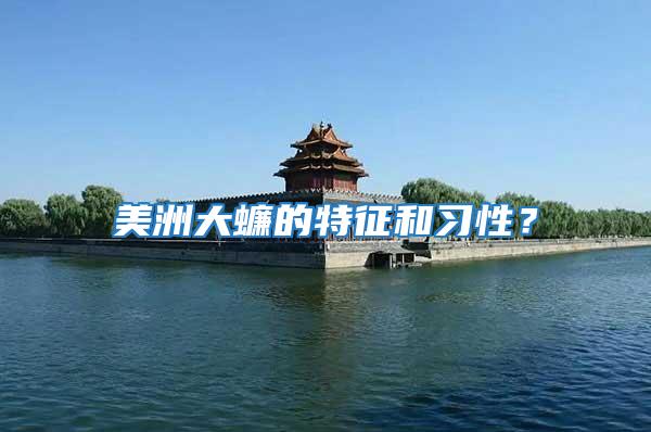 美洲大蠊的特征和習(xí)性？