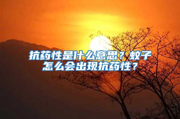 抗藥性是什么意思？蚊子怎么會出現(xiàn)抗藥性？