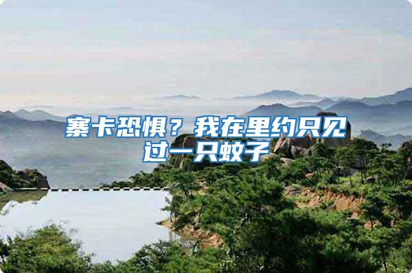 寨卡恐懼？我在里約只見過一只蚊子