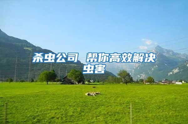 殺蟲公司 幫你高效解決蟲害