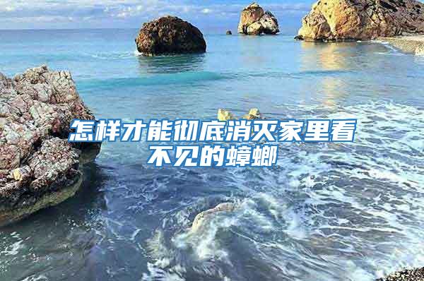 怎樣才能徹底消滅家里看不見的蟑螂