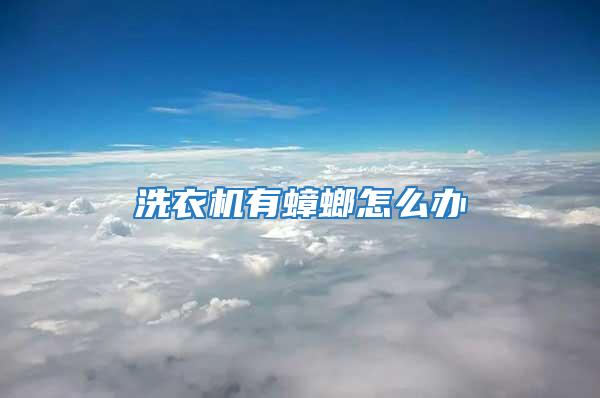洗衣機有蟑螂怎么辦