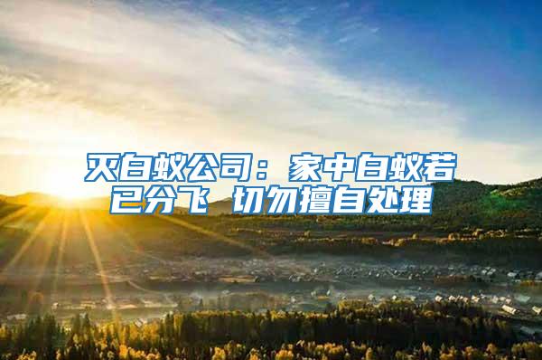 滅白蟻公司：家中白蟻若已分飛 切勿擅自處理