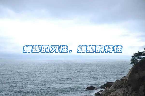 蟑螂的習(xí)性，蟑螂的特性