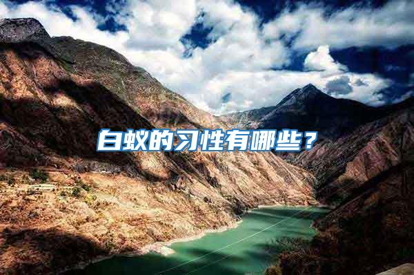 白蟻的習(xí)性有哪些？