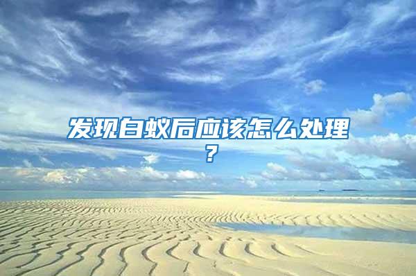 發現白蟻后應該怎么處理？