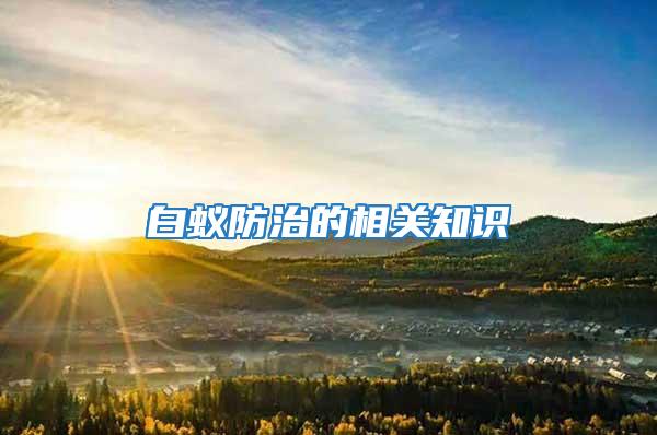 白蟻防治的相關知識