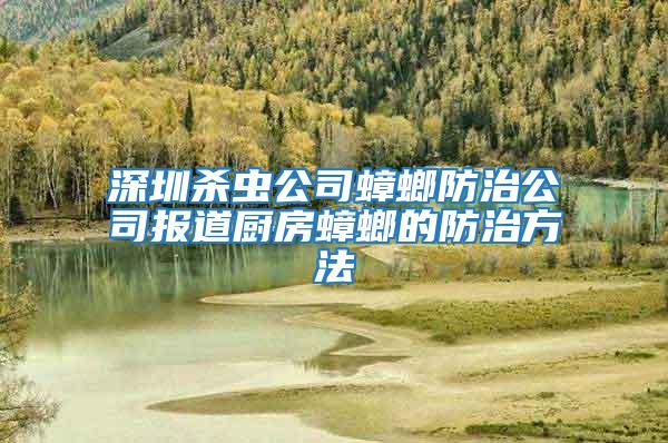 深圳殺蟲公司蟑螂防治公司報道廚房蟑螂的防治方法