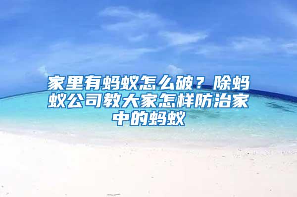 家里有螞蟻怎么破？除螞蟻公司教大家怎樣防治家中的螞蟻