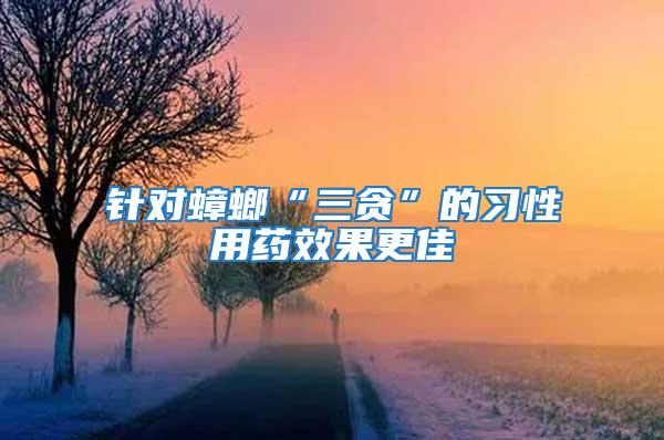 針對蟑螂“三貪”的習性用藥效果更佳