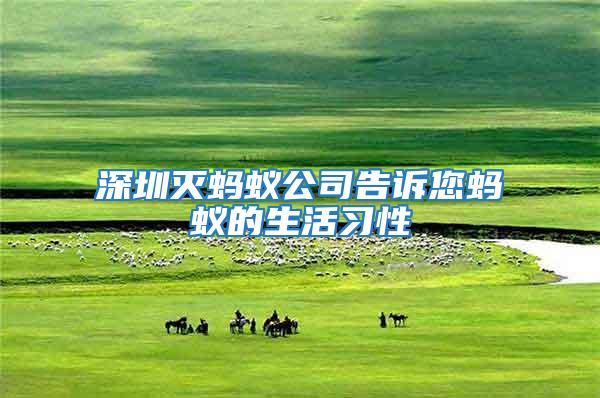 深圳滅螞蟻公司告訴您螞蟻的生活習性