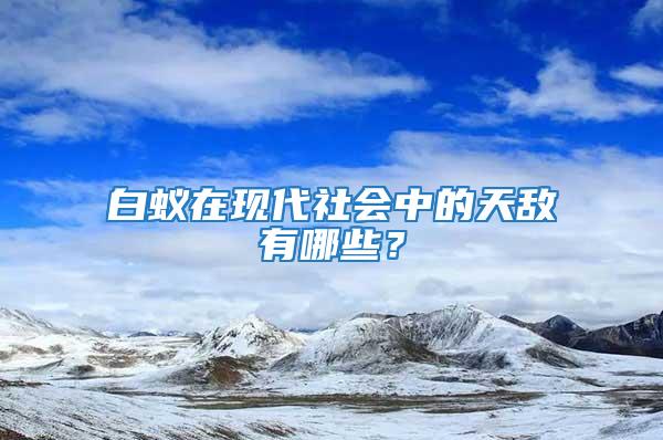 白蟻在現代社會中的天敵有哪些？