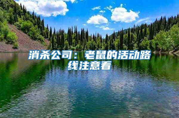 消殺公司：老鼠的活動路線注意看