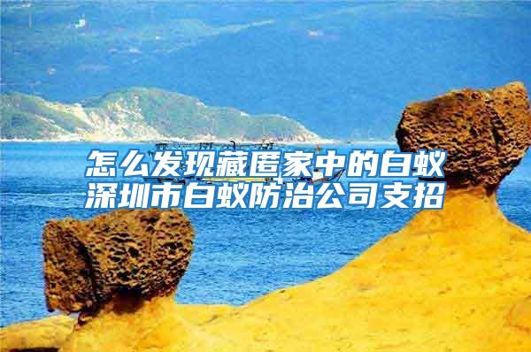 怎么發現藏匿家中的白蟻深圳市白蟻防治公司支招