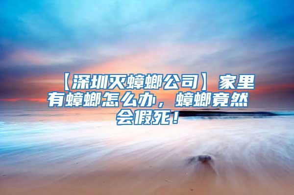 【深圳滅蟑螂公司】家里有蟑螂怎么辦，蟑螂竟然會假死！