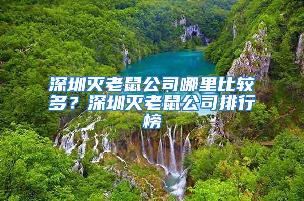 深圳滅老鼠公司哪里比較多？深圳滅老鼠公司排行榜