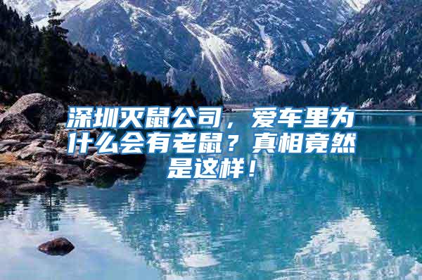 深圳滅鼠公司，愛車里為什么會有老鼠？真相竟然是這樣！