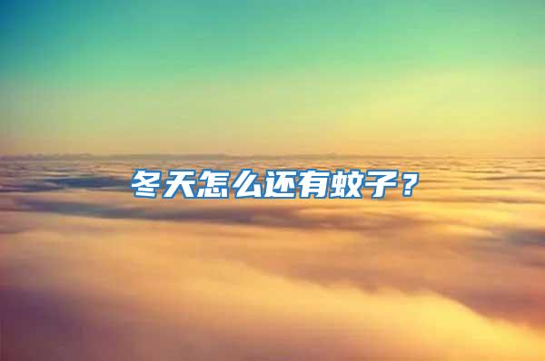 冬天怎么還有蚊子？