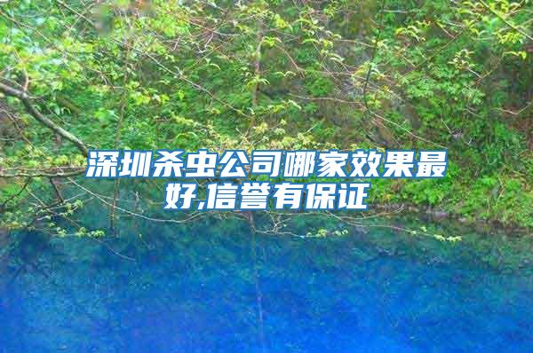 深圳殺蟲公司哪家效果最好,信譽有保證