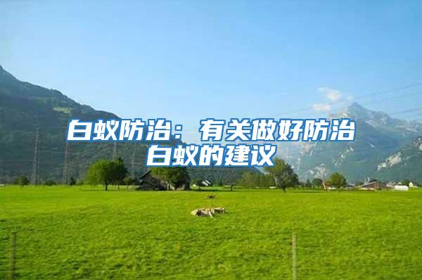 白蟻防治：有關做好防治白蟻的建議