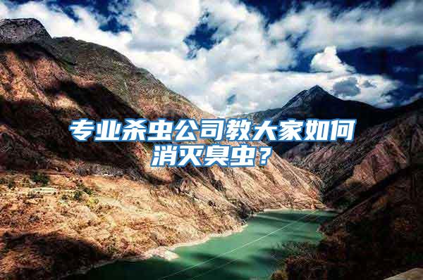 專業殺蟲公司教大家如何消滅臭蟲？
