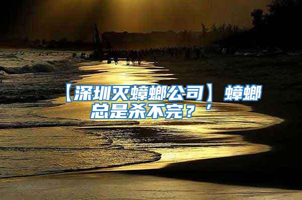 【深圳滅蟑螂公司】蟑螂總是殺不完？’