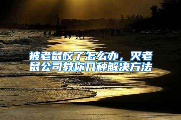 被老鼠咬了怎么辦，滅老鼠公司教你幾種解決方法
