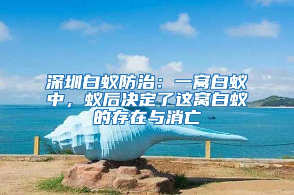 深圳白蟻防治：一窩白蟻中，蟻后決定了這窩白蟻的存在與消亡