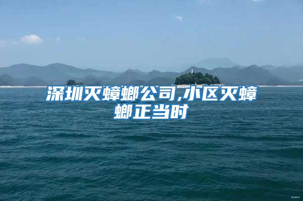 深圳滅蟑螂公司,小區滅蟑螂正當時