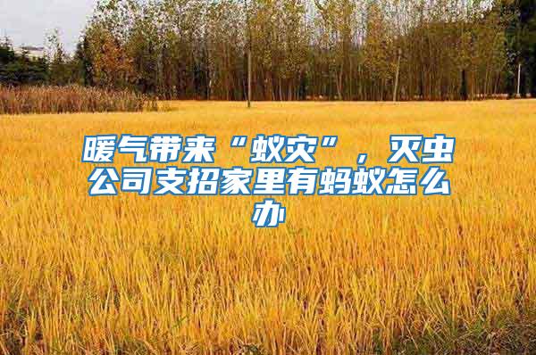 暖氣帶來“蟻災”，滅蟲公司支招家里有螞蟻怎么辦