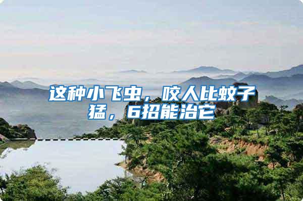 這種小飛蟲，咬人比蚊子猛，6招能治它