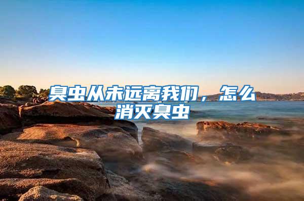 臭蟲從未遠離我們，怎么消滅臭蟲