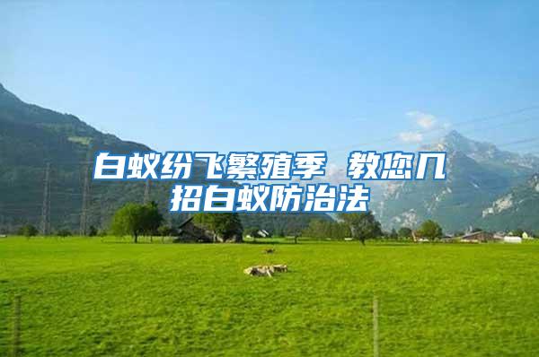 白蟻紛飛繁殖季 教您幾招白蟻防治法