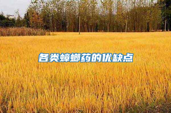各類蟑螂藥的優缺點