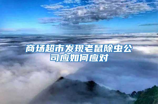 商場超市發現老鼠除蟲公司應如何應對