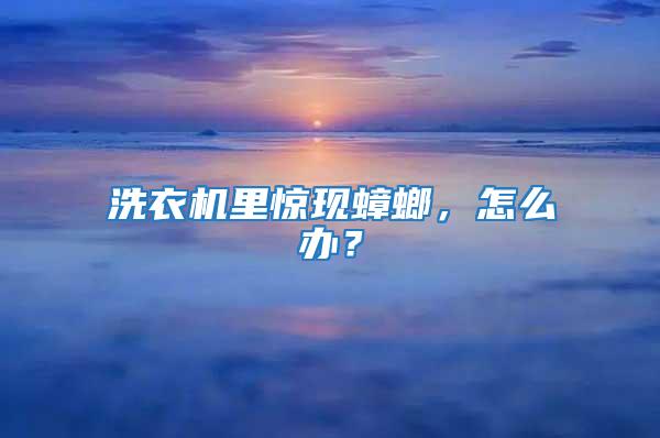 洗衣機里驚現蟑螂，怎么辦？
