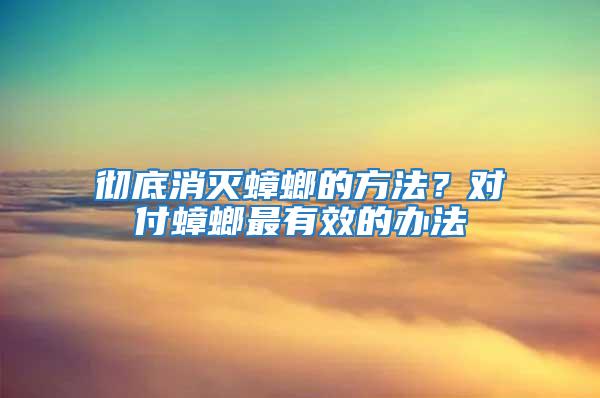 徹底消滅蟑螂的方法？對(duì)付蟑螂最有效的辦法