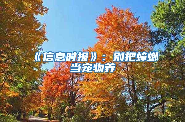 《信息時報》：別把蟑螂當寵物養