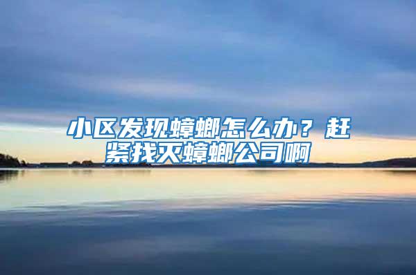 小區發現蟑螂怎么辦？趕緊找滅蟑螂公司啊
