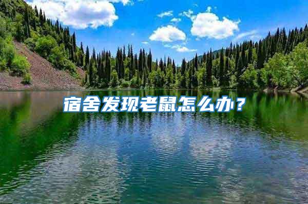 宿舍發現老鼠怎么辦？